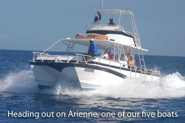 Scuba Diving in Dominica with Dive Dominica Scuba Diving in Dominica with Dive Dominica